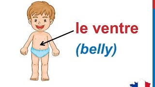 French Lesson 33 BODY PARTS French Vocabulary Parties du corps English subtitles Partes del cuerpo [upl. by Malliw]