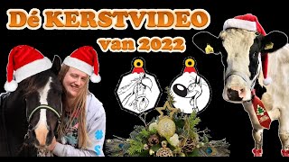 Dé KERSTVIDEO van 2022 ♥ Ponyparkcity  DIY Lucky Luke kerstballen  dieren kerstwensen [upl. by Dnaleel]