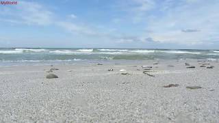 1 h Meeresrauschen Entspannung Wellenrauschen Wellen Strand Meer Ostsee HD [upl. by Yelsa]