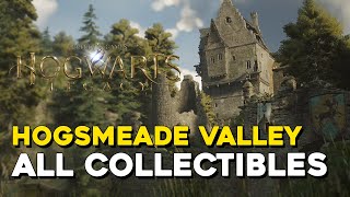 Hogwarts Legacy Hogsmeade Valley All Collectible Locations [upl. by Josy]