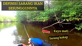 Rekor terbanyak mancing ikan dimuara cukup untuk ngasih makan sekampung [upl. by Suhpoelc797]