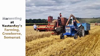 Harvesting at Yesterdays Farming near Crewkerne Somerset [upl. by Good136]