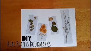 DIY Transparent Real Pressed Plants Bookmarks  My Crafting World [upl. by Romeon]