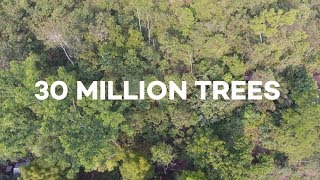 Ecosia users have just planted 30 MILLION trees [upl. by Heather]