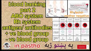 RH system ABO system  blood banking part 2Rh mother negative rhesus incompatible in pastho [upl. by Orsini740]