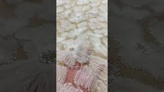 Sequin Embroidery Beading Luxury Bridal Wedding Fabrics lace factory fabricsweddingdressbridal [upl. by Ludie481]