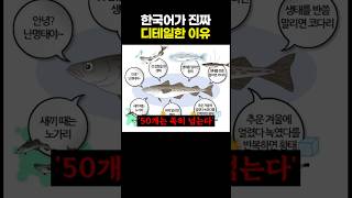 한국어가 진짜 디테일한 이유 [upl. by Vil]