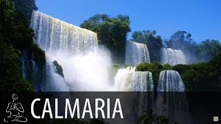 🎧 CACHOEIRA  Cachoeira Natureza  8 horas de som  Relax Durma Calma  ♫005 [upl. by Ahseek]