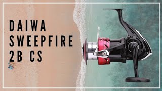 DAIWA Sweepfire 2B CS Disassembly  Teardown [upl. by Muns]