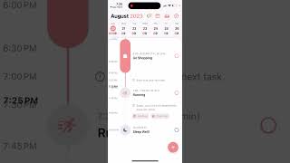 STRUCTURED APP REVIEW  BEST DAILY PLANNER [upl. by Tray]