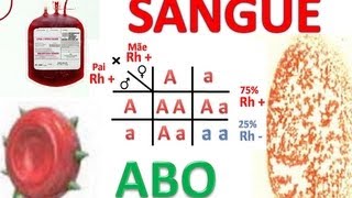 Sistema Rh e ABO Herança e Transfusão Sanguínea Pt2 [upl. by Ahsoem]