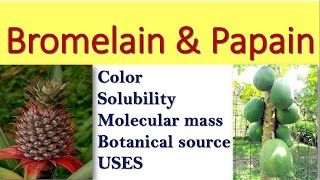 what is Bromelain what is Papain PhytoEnzymes [upl. by Aurie920]