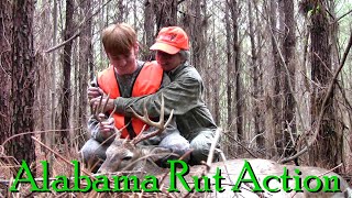 230  Alabama Rut Action Tactics [upl. by Hun442]