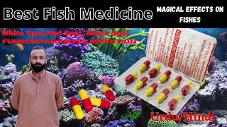 Best Medicine for Fish How to treat Sick Fish Tetracycline guide how to use urduhindi [upl. by Orest]