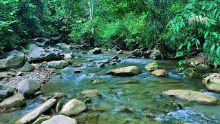 The sound of a clear blue and clear river river sounds for sleeping study relaxation ASMR [upl. by Demah]