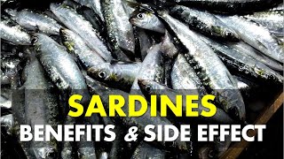 Sardines Benefits and Side Effects  Are Sardines Good For You [upl. by Aittam]