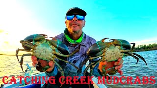 CATCHING CREEK MUDCRABS  SOLO MISSION  BAGGED OUT [upl. by Aleehs]