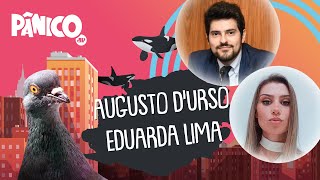 LUIZ AUGUSTO D’URSO E EDUARDA LIMA  PÂNICO  250621 [upl. by Akemeuwkuhc]