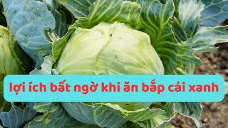 ĂN BẮP CẢI XANH CÓ TÁC DỤNG GÌ LỢI ÍCH BẤT NGỜ KHI ĂN BẮP CẢI XANH VÀ NHƯNG LƯU Ý KHI ĂN KTSK [upl. by Henson]