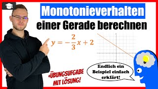 Monotonieverhalten einer Gerade Funktion 1 Grades bestimmen [upl. by Millwater]