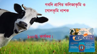 গবাদি প্রাণির সব ধরনের কৃমি ধ্বংস করতে এনডেক্স ভেট  ENDEX VET BOLUS [upl. by Utley]