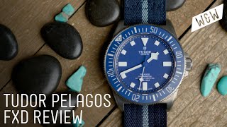 Why The Unexpected Tudor Pelagos FXD Just Works  Worn amp Wound Review [upl. by Rednaskela]