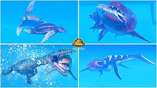 New Prehistoric Marine Species Pack All Animations amp Other Interactions 🦖 Jurassic World Evolution 2 [upl. by Werbel]