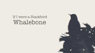 If I were a Blackbird  Whalebone Traditional Tune [upl. by Aleunam]