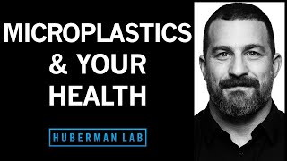 The Effects of Microplastics on Your Health amp How to Reduce Them [upl. by Ecreip]