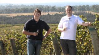 Discover Australian Wine Regions The Hunter Valley [upl. by Burgess924]