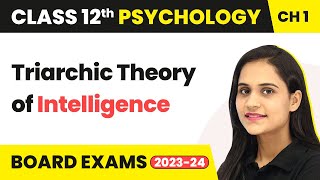 Triarchic Theory of Intelligence  Variations in Psychological Attributes  Class 12 Psychology Ch1 [upl. by Annawaj]