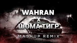 Randall Wahran x Asanrap Шома тигр  Wahran Russian Remix [upl. by Brenner]