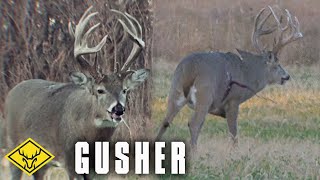 GUSHER  85yr Old Buck at 20 yards Graphic Warning [upl. by Kalindi741]