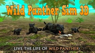 Wild Panther Sim 3D  by Turbo Rocket Games  Simulation  Google PlaySuper HD Quality [upl. by Malha844]