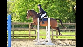 Jasper  Showjumping  XC  AE Schoolmaster [upl. by Jarrow683]