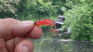 How Many Canal Species Can I Catch on Lures Only Challenge Accepted [upl. by Nohsyar]