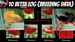 BETTA BREEDING DATA  BETTA LOG FOR KNOWLEDGE AND REFERENCE [upl. by Robbins612]