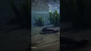 WHAT DID THE SILURIAN FAUNA LOOK LIKE earth scorpions history [upl. by Ellitnahc573]