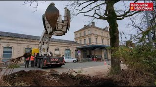 VIDEO A Niort une pelle horsnormes pour déplacer les arbres de la gare [upl. by Kaplan]