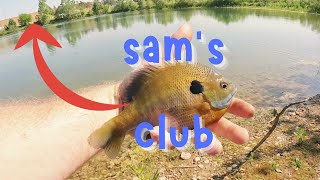 I Didnt Know Sams Club had Bluegills [upl. by Quirk]