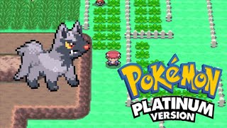 How to get Poochyena in Pokemon Platinum [upl. by Liane]