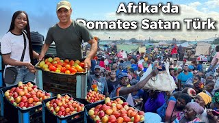 Türkiye’den Afrika’ya taşındı Domates kralı oldu [upl. by Odraode689]