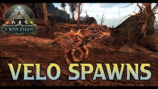 Fjordur  Velonasaur  Velo  Spawn hier findet Ihr sie  ARK Survival Evolved [upl. by Mack658]