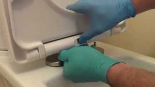 How to fix a loose toilet seat [upl. by Rehm]