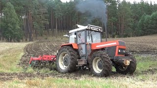 Zetor w Błotku Gruberowanie 2019 Zetor 12245 [upl. by Kirrad]