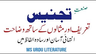 Sanat e tajnees definition types and examples  urdu grammer  صنعت تجنیس تعریفاقسام اور مثالیں [upl. by Kcim]