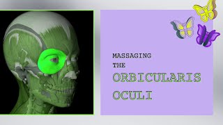 Massaging the Orbicularis Oculi [upl. by Sitruk917]