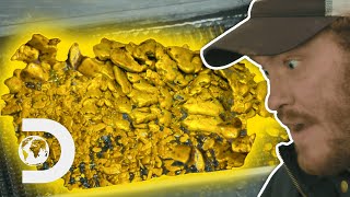 The Biggest Gold Finds Of The Season I Gold Rush White Water [upl. by Ardnala]