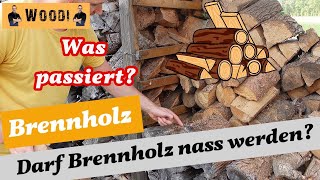 Brennholz  Darf Brennholz nass werden Richtige Lagerung  Feuchtigkeit  Woodi [upl. by Gosney420]