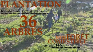 Plantation 36 ARBRES  FORÊT COMESTIBLE 250m²  FIN [upl. by Bishop]